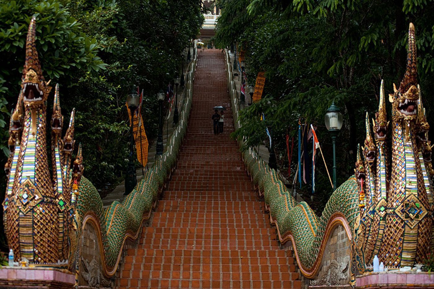 These elaborate steps lead to the entrance of the Doi Suthep Buddhist temple. Photo: Daily Travel Photos