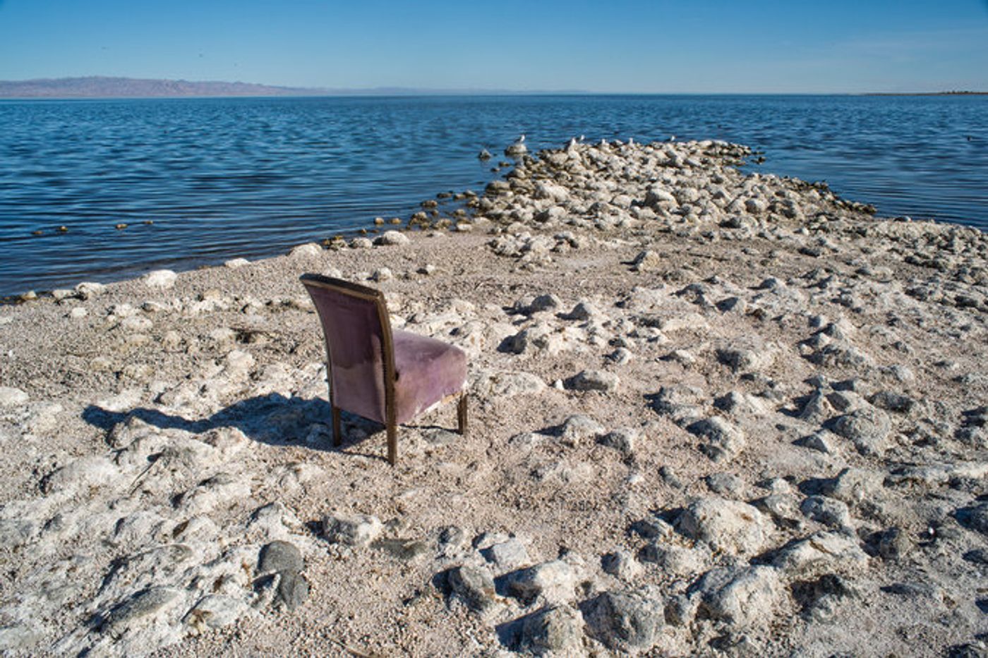 A view from Salton Sea Beach on the western shore of the Salton Sea. Photo: Frank Foster Photo, New York Times 