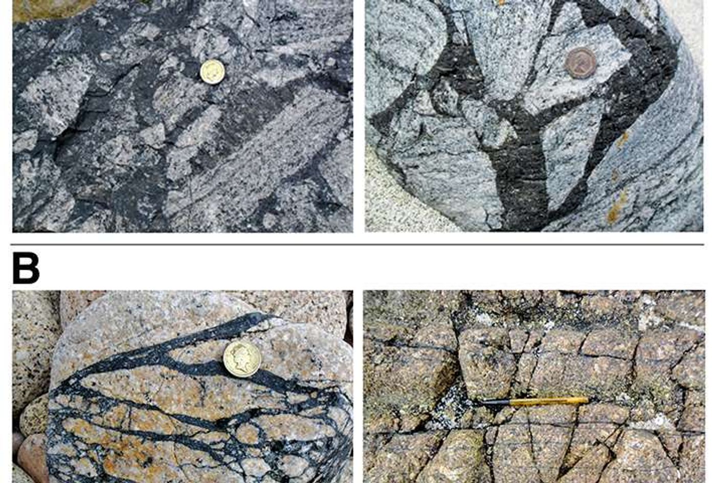 Hydrogen-rich rocks in seismic areas could be present on Mars also.