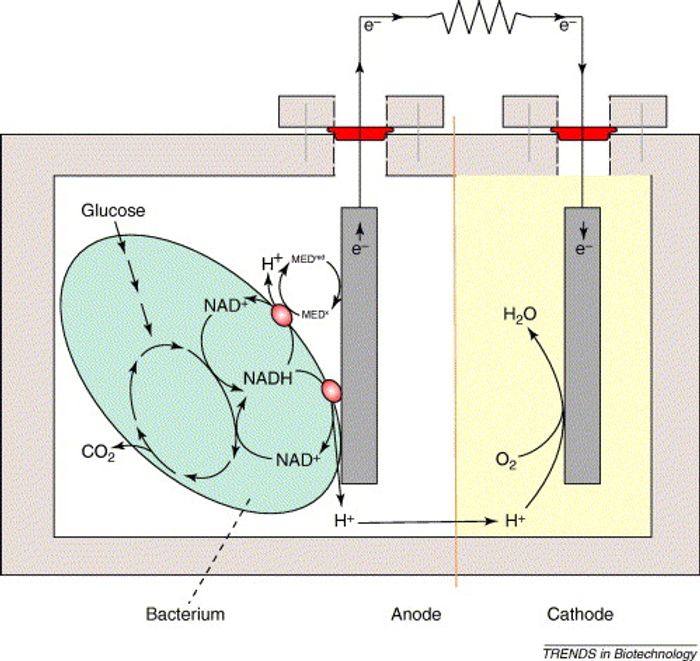 A simple microbial fuel cell - Trends in Biotechnology