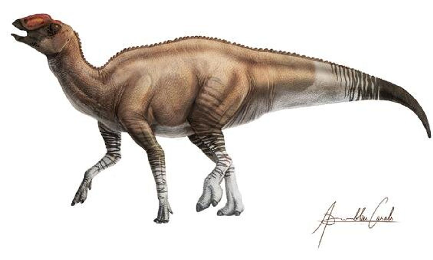 An artist's impression of A. palimentus.