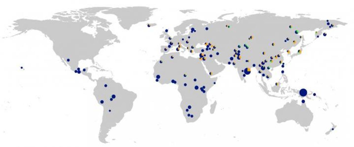 Geographic Distribution of the Neandertal-like TLR DNA