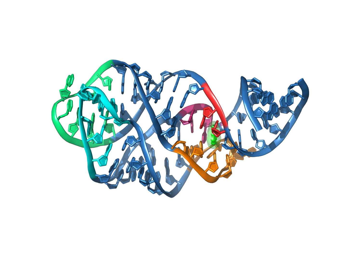 Structure of a typical riboswitch