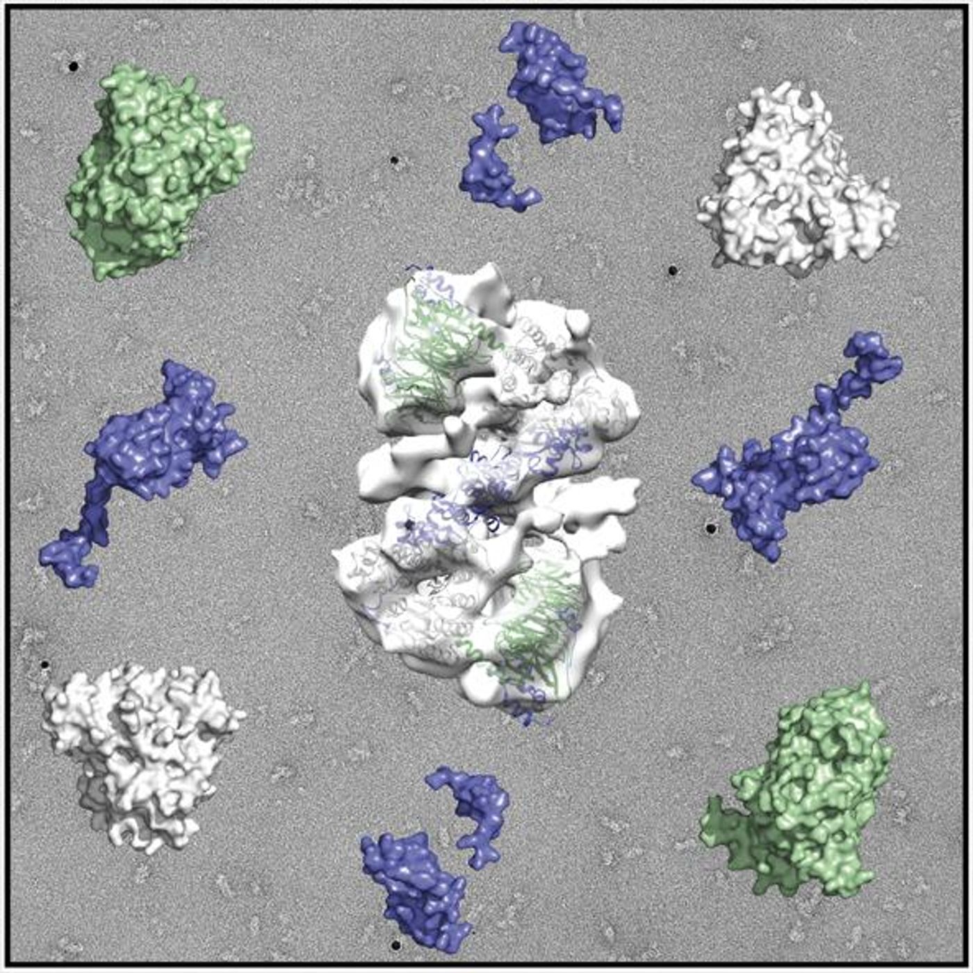 The NuRD Complex