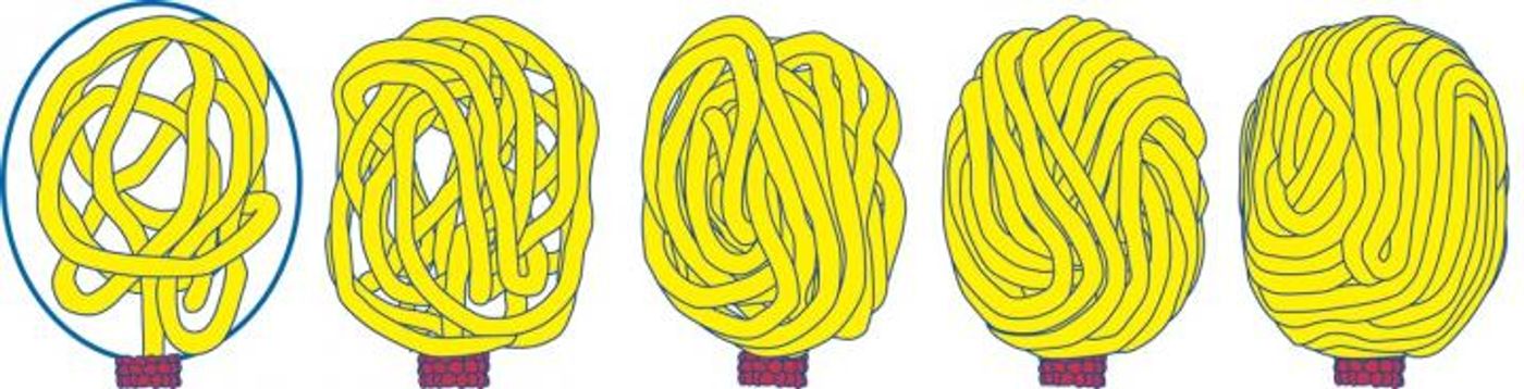  gradual filling of viral capsid (blue oval, left panel) by DNA (yellow), which is driven into the capsid by the protein motor (red).