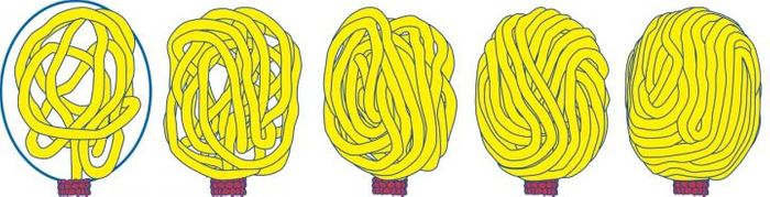 gradual filling of viral capsid (blue oval, left panel) by DNA (yellow), which is driven into the capsid by the protein motor (red).