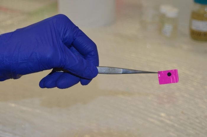 A flexible polymer patch which improves the conduction of electrical impulses across damaged heart tissue in animals. It can be attached to the heart without the need for stitches. Source: UNSW