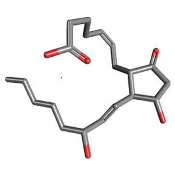 Prostaglandin.