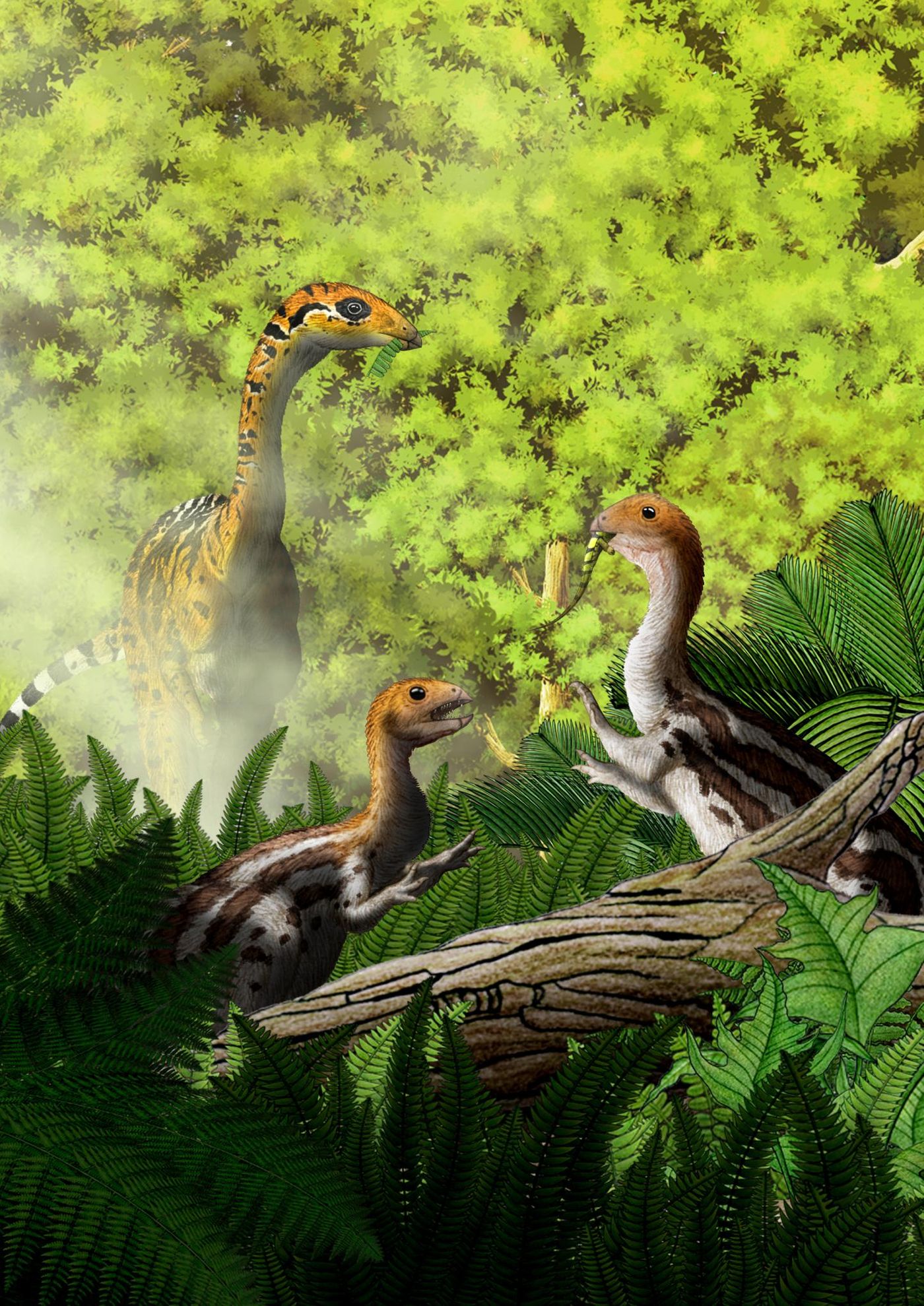An artist's rendition of the Limusaurus.