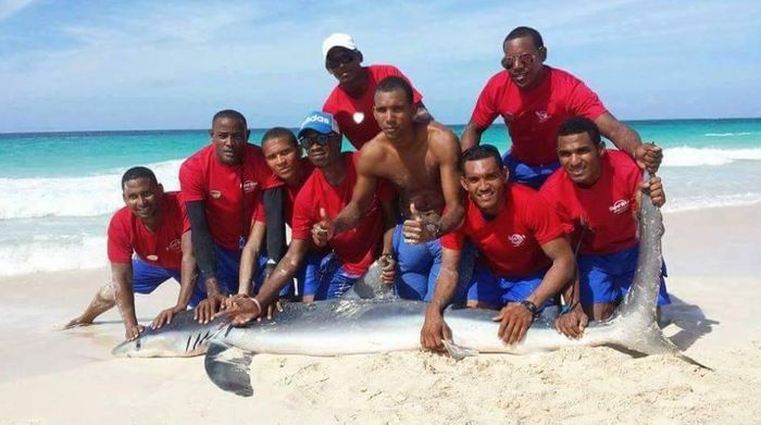 The men who dragged the shark out of the ocean pose with it for a photo.