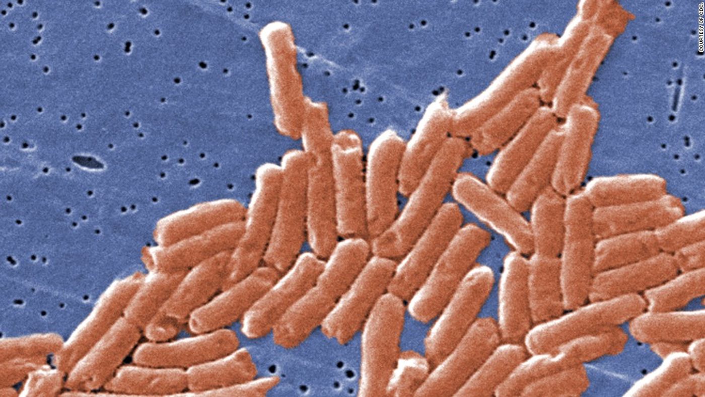 Chicken eggs can contain Salmonella.