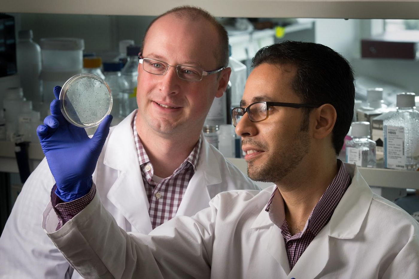 Corresponding author Benjamin Youngblood, PhD with first author Hazem Ghoneim. Credit: Seth Dixon / St. Jude Children's Research Hospital