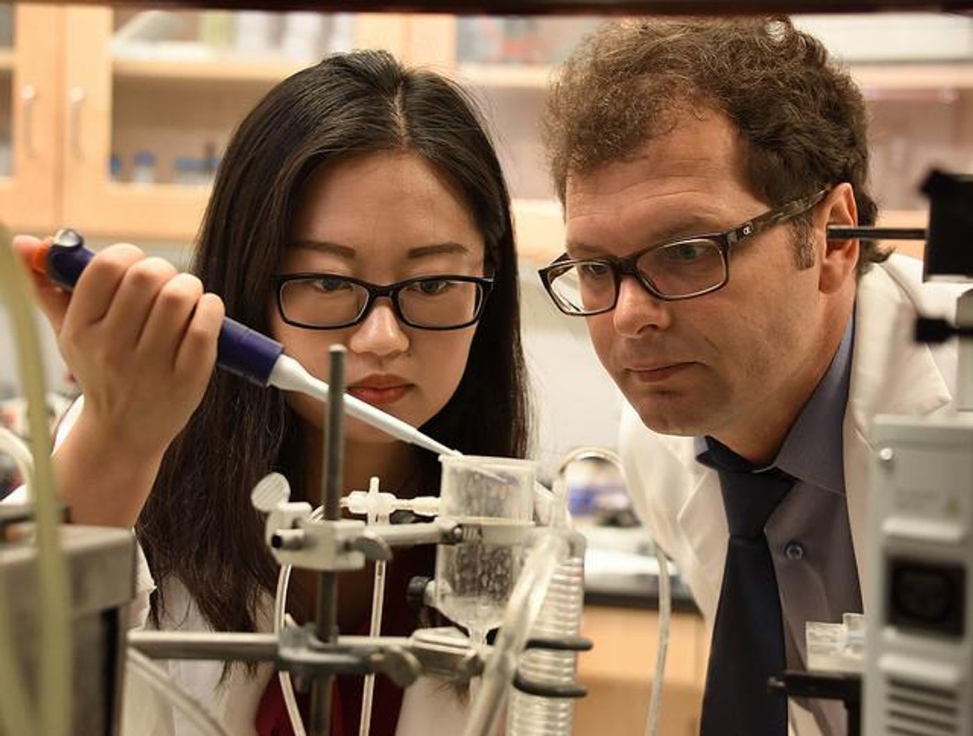 Huijuan Dou, Ph.D. candidate (left) and the study's first author, and Dr. Zsolt Bagi (right), vascular biologist in the Vascular Biology Center at the Medical College of Georgia at Augusta University. Credit: Phil Jones