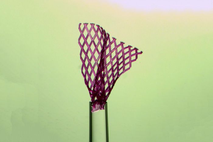 The flexible tissue scaffold, shown here emerging from a glass pipette with a tip one millimetre wide, unfolds itself after injection into the body. This could enable surgeons to use minimally invasive techniques, which reduce recovery time, scarring and other negative effects. Credit: Miles Montgomery and Rick Lu