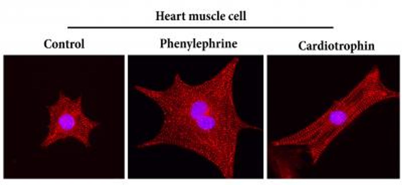 Credit: Cell Research