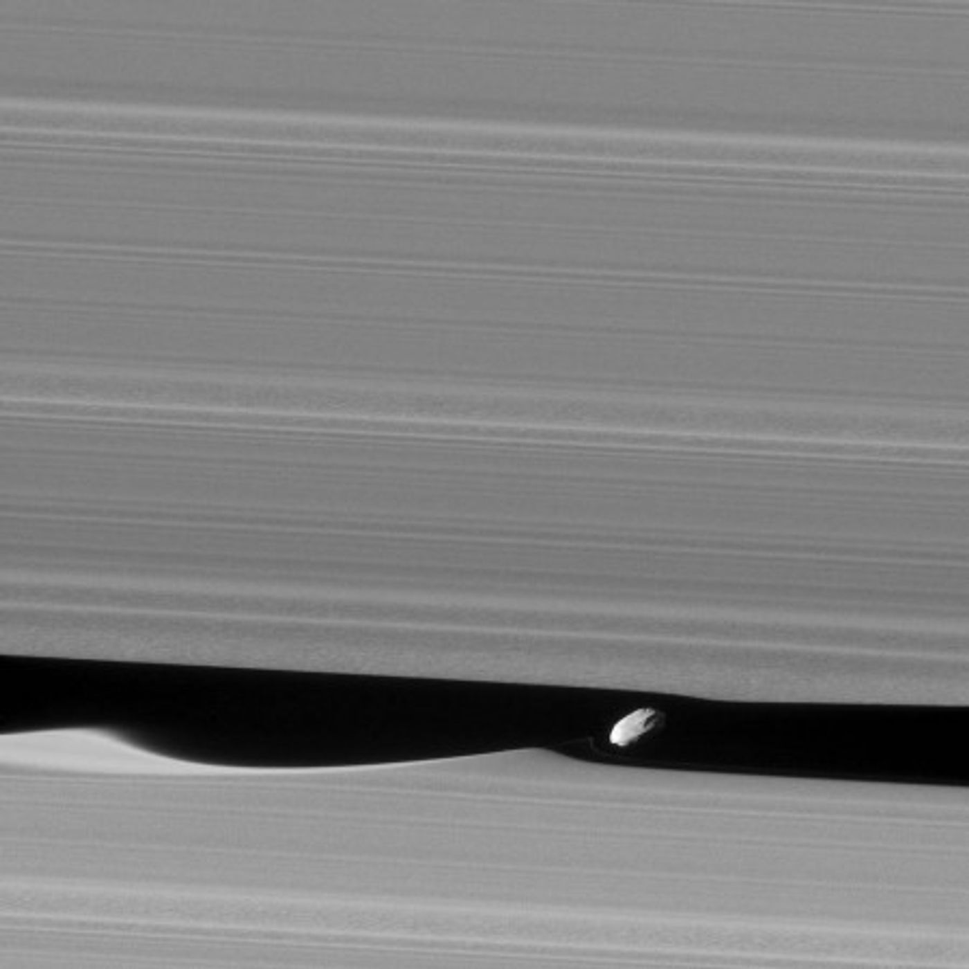 A close-up of Daphnis and the waves it makes in Saturn's rings.