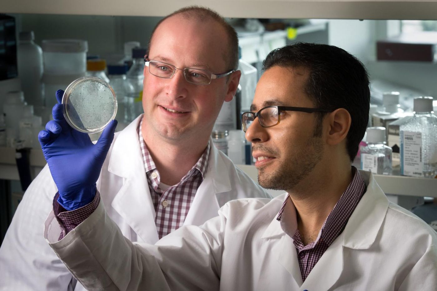 Ben Youngblood, Ph.D., pictured with Hazem Ghoneim, Ph.D., and colleagues showed how memory CD8 T cells arise from a small subset of effector CD8 T cells in laboratory models. Credit: Seth Dixon/St. Jude Children's Research Hospital