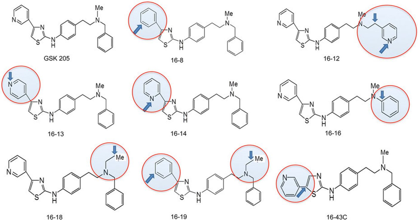 Parent compound GSK205 and its derivatives. 16-8 is the lead compound from this library.