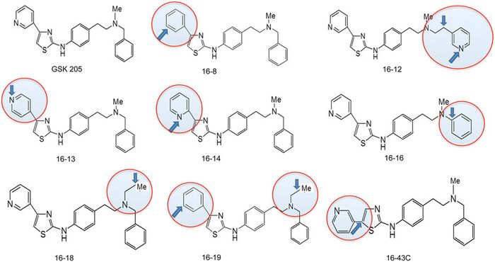 Parent compound GSK205 and its derivatives. 16-8 is the lead compound from this library.