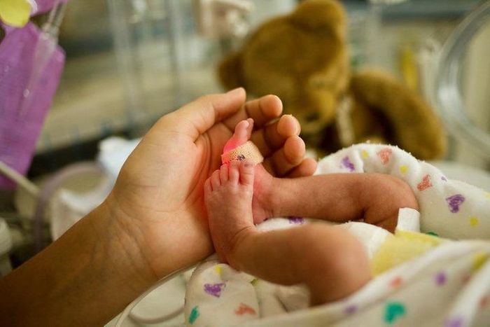 A caregiver's hand cradles the feet of a preterm infant in the University of Washington Medical Center Neonatal Intensive Care Unit. Credit: UW Medicine
