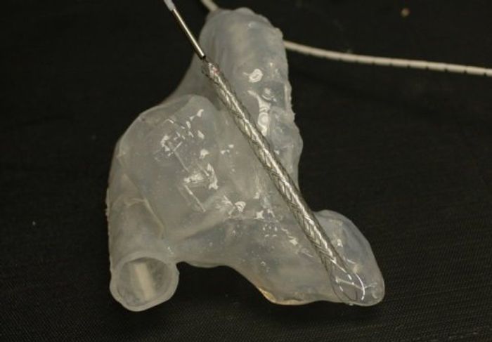 The percutaneous heart pump developed at Penn State with a model of the left ventricle of a human heart