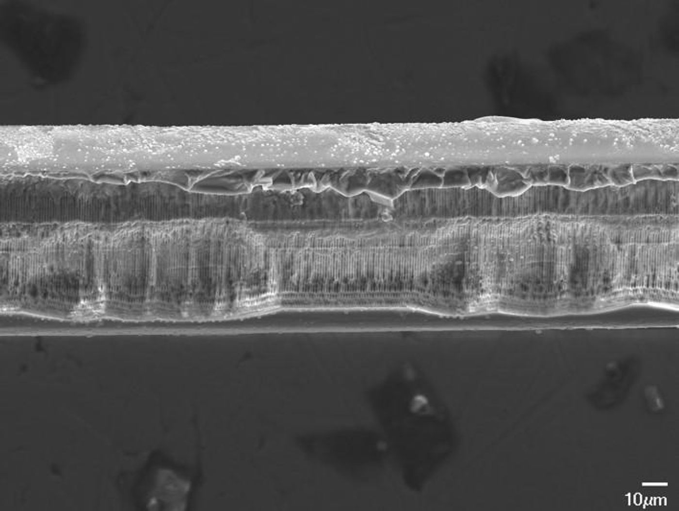 A side view of a bioresorbable fiber Bragg grating after it has dissolved in liquid. Maria Konstantaki, Foundation of Research and Technology - Hellas