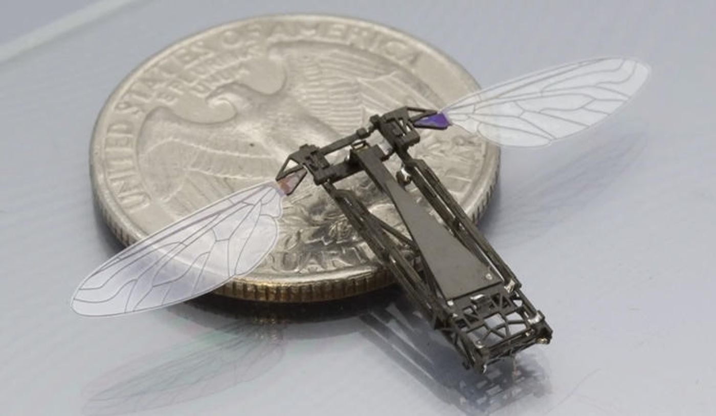 This little robot can fly and swim.