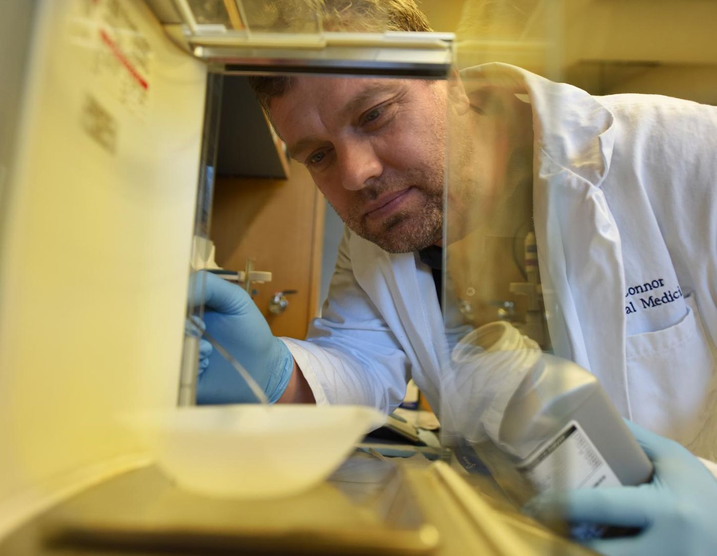 Dr. Paul O'Connor, renal physiologist in the lab at the Medical College of Georgia Department of Physiology at Augusta University. Credit: Phil Jones, Senior Photographer, Augusta University