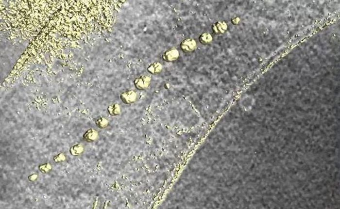 The magnetosomes form a chain inside the bacteria's cell shows the electron cryotomography (ECT). / Credit: Helmholtz-Zentrum Berlin für Materialien und Energie