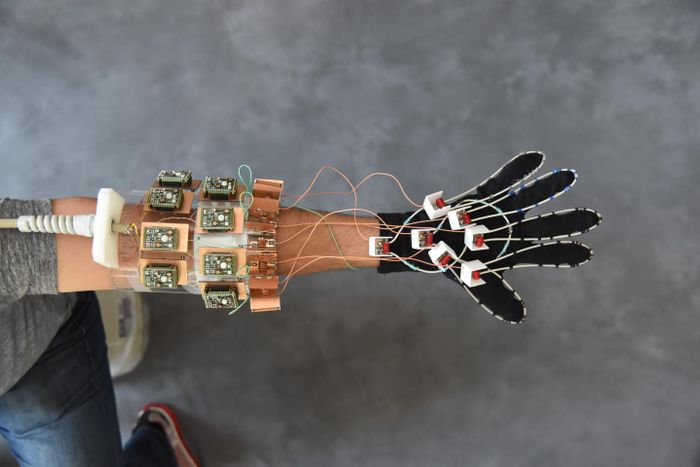 In a first for MRI, a glove-shaped detector proved capable of capturing images of moving fingers. Credit: NYU School of Medicine