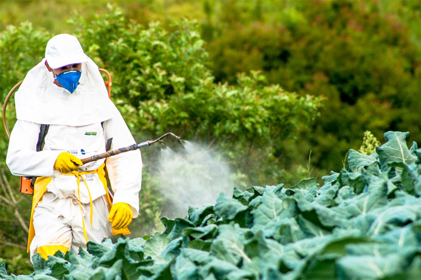 Effects from pesticides on humans are a public health hazard. Photo: Civil Eats