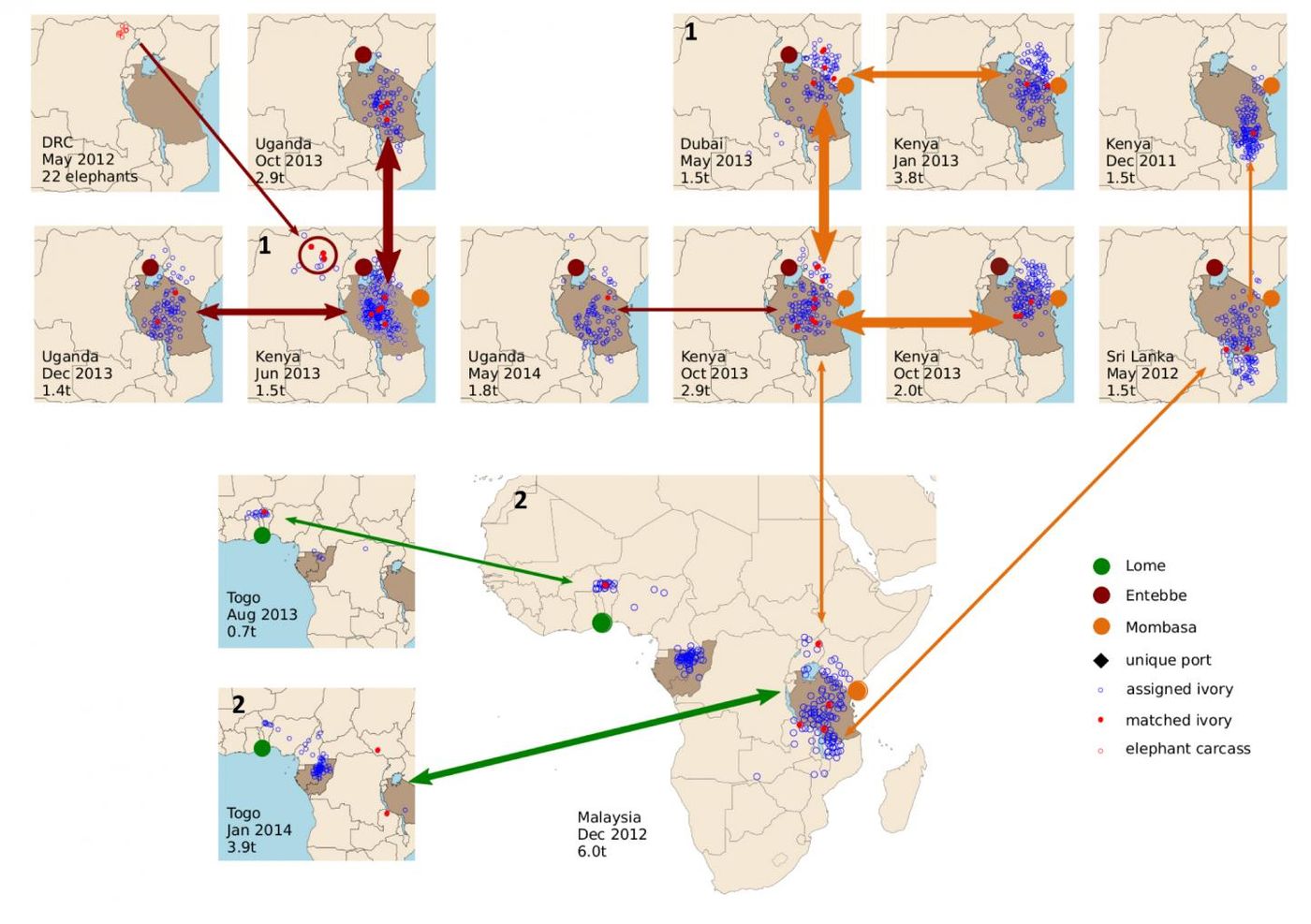 Wasser and his team are able to link multiple ivory shipments to the same smugglers. Each map indicates separate shipments, with the location, date and weight of the seizure shown in the lower left.  / Credit: Wasser et al. 2018/Science Advances