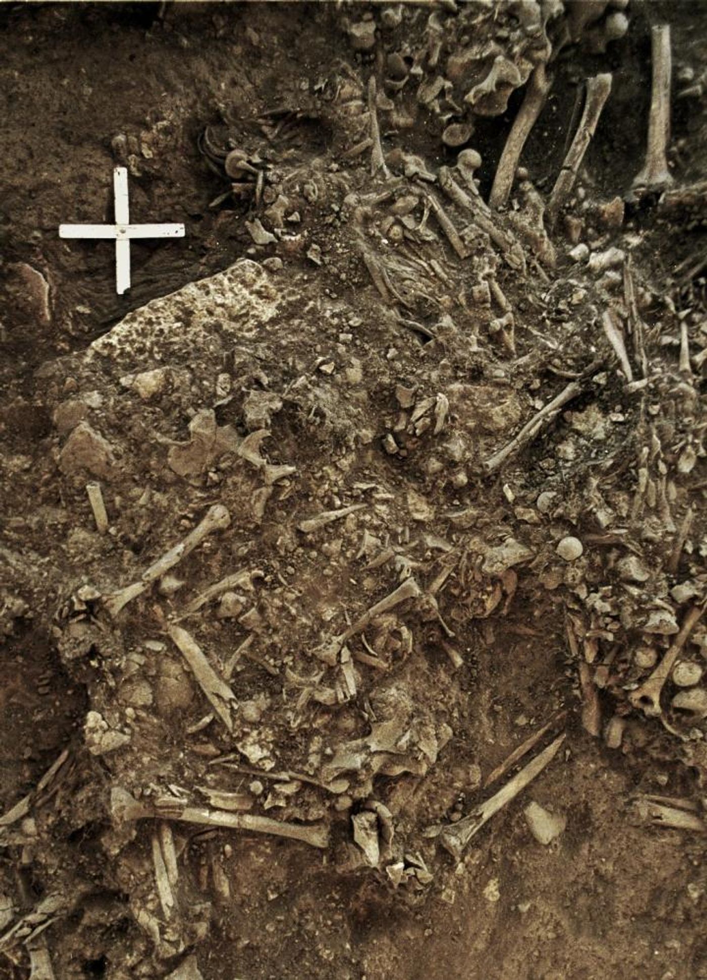 This image shows the remains of a 20-year old woman (Gokhem2) from around 4900 BP that was killed by the first plague pandemic. She was one of the victims of a plague pandemic that likely lead to the decline of the Neolithic societies in Europe. / Credit: Karl-Göran Sjögren / University of Gothenburg