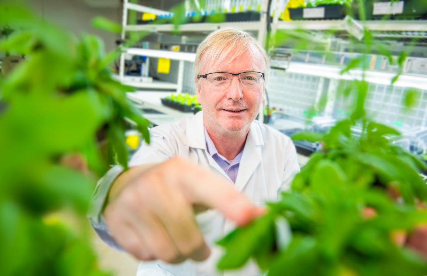 Professor Jim Whelan in his laboratory at the La Trobe Institute for Agriculture and Food at AgriBio, Melbourne, Australia. / Credit: La Trobe University