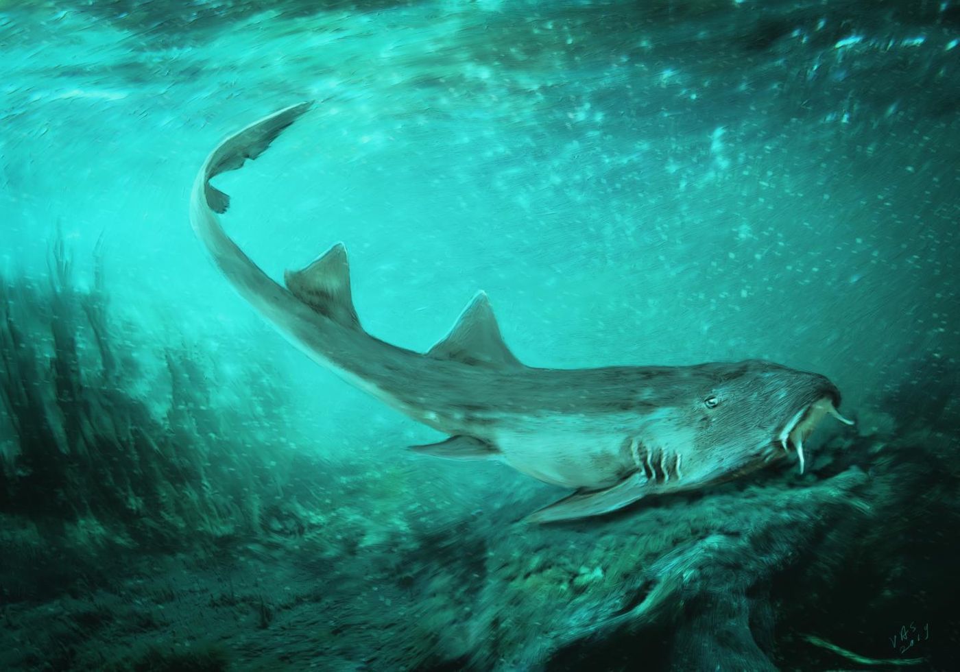 An artist's impression of Galagadon, a newly-discovered shark species that existed with T. Rex.
