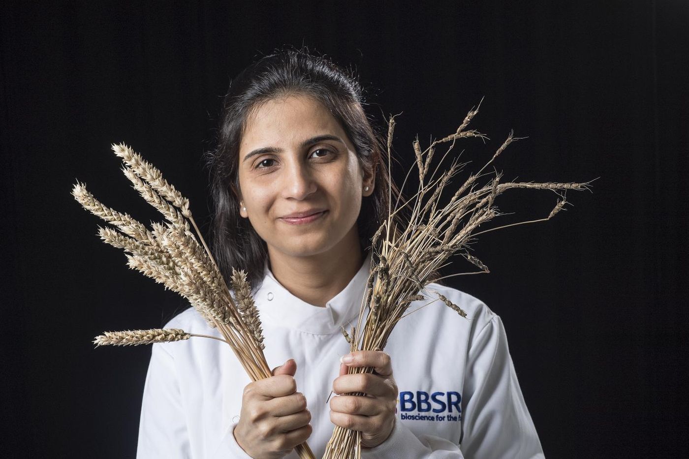 John Innes Centre researcher Dr. Sanu Arora with domesticated wheat one of its wild relatives. / Credit: Andrew Davis