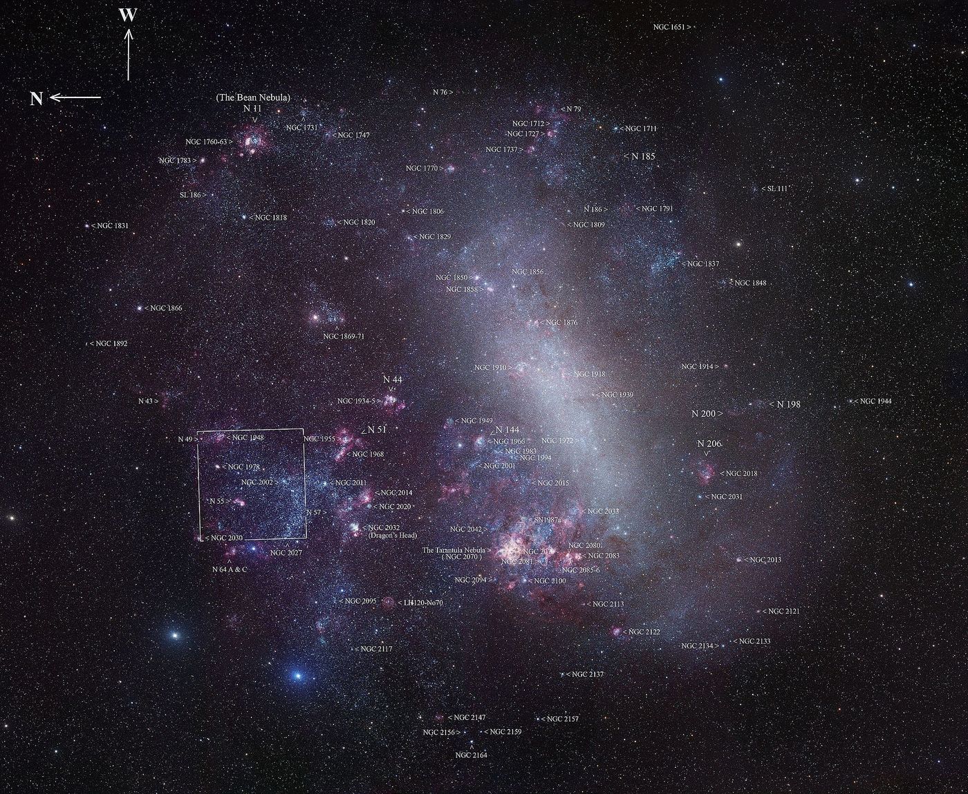 An image depicting the Large Magellanic Cloud and its contents.