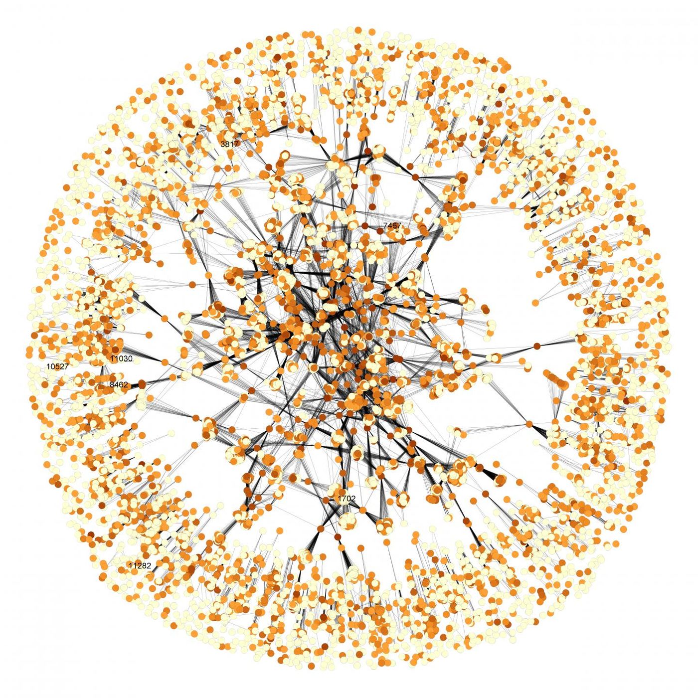 Formulation network highlights the complexity of the inactive ingredient portion of medications and attests to the multiplicity of different formulations available to deliver the same medication. / Credit: Daniel Reker and Gio Traverso