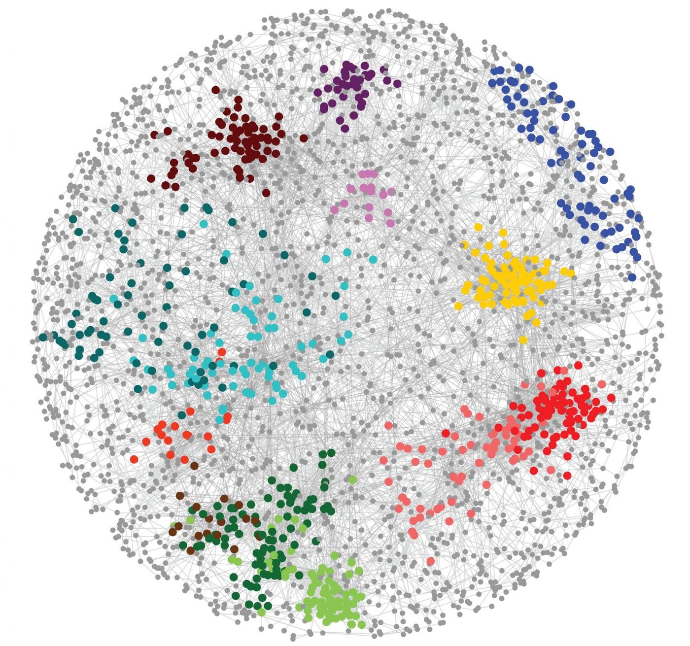 This image depicts how thousands of genes organize into a network in a cell.  / Credit: Raamesh Deshpande