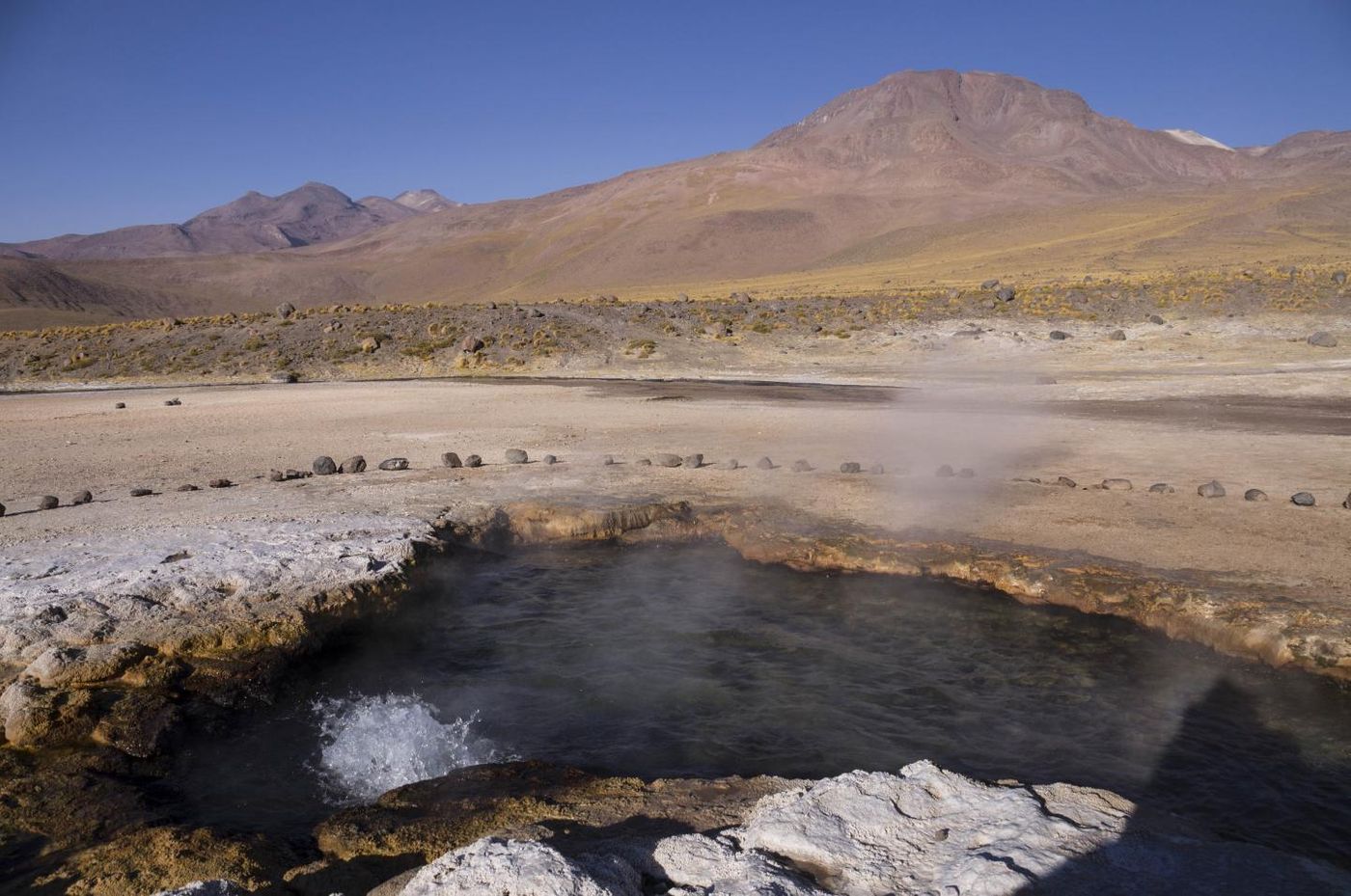 Bacteria were collected from this hot spring in the El Tatio region in northern Chile. / Credit: Yaroslav Ispolatov