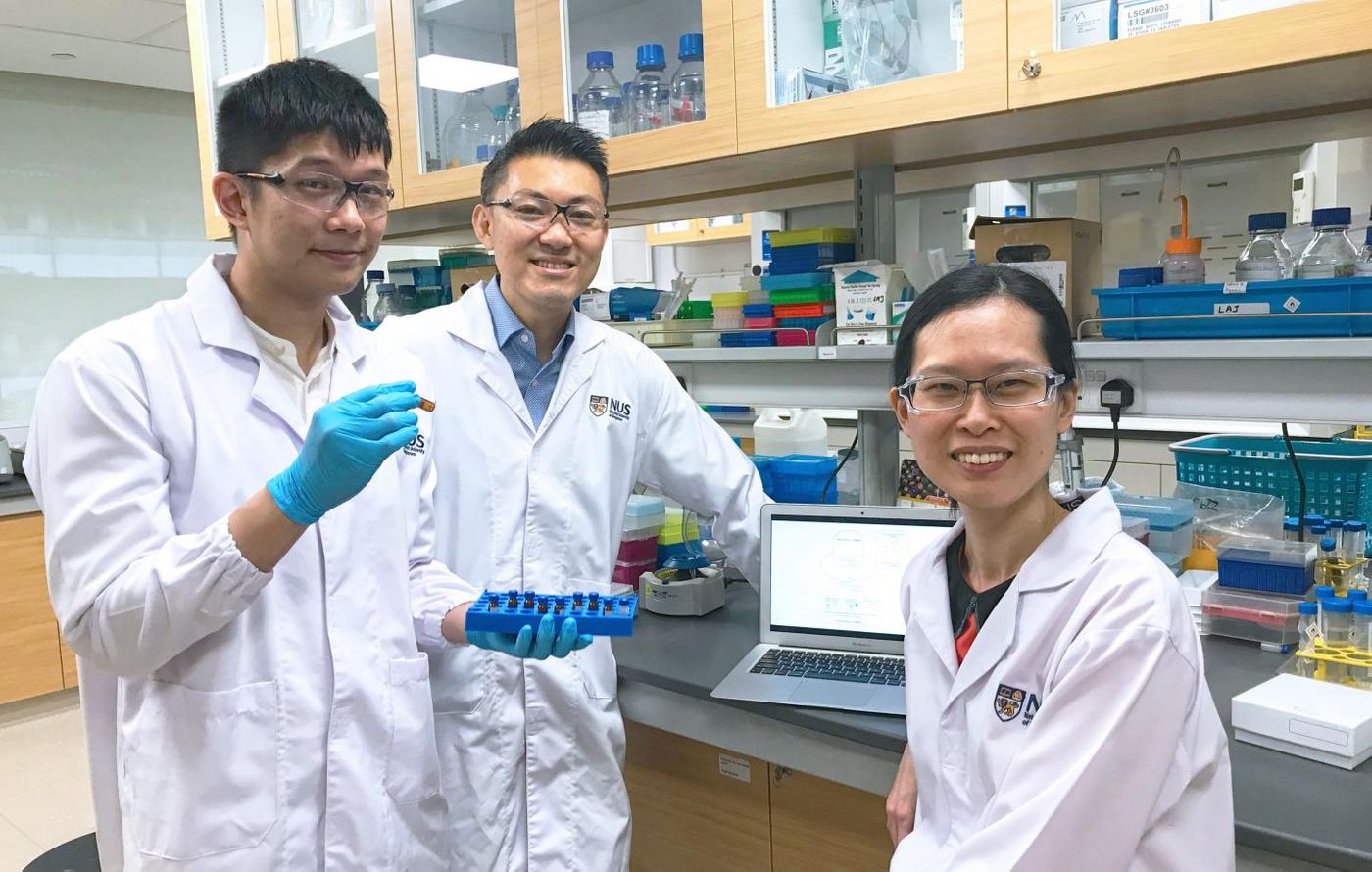 Mr. Toh Yi Long, Associate Professor Alexandre Chan and Assistant Professor Lau Aik Jiang are members of the team that found clinically relevant factors which predispose patients to chemobrain. / Credit: National University of Singapore