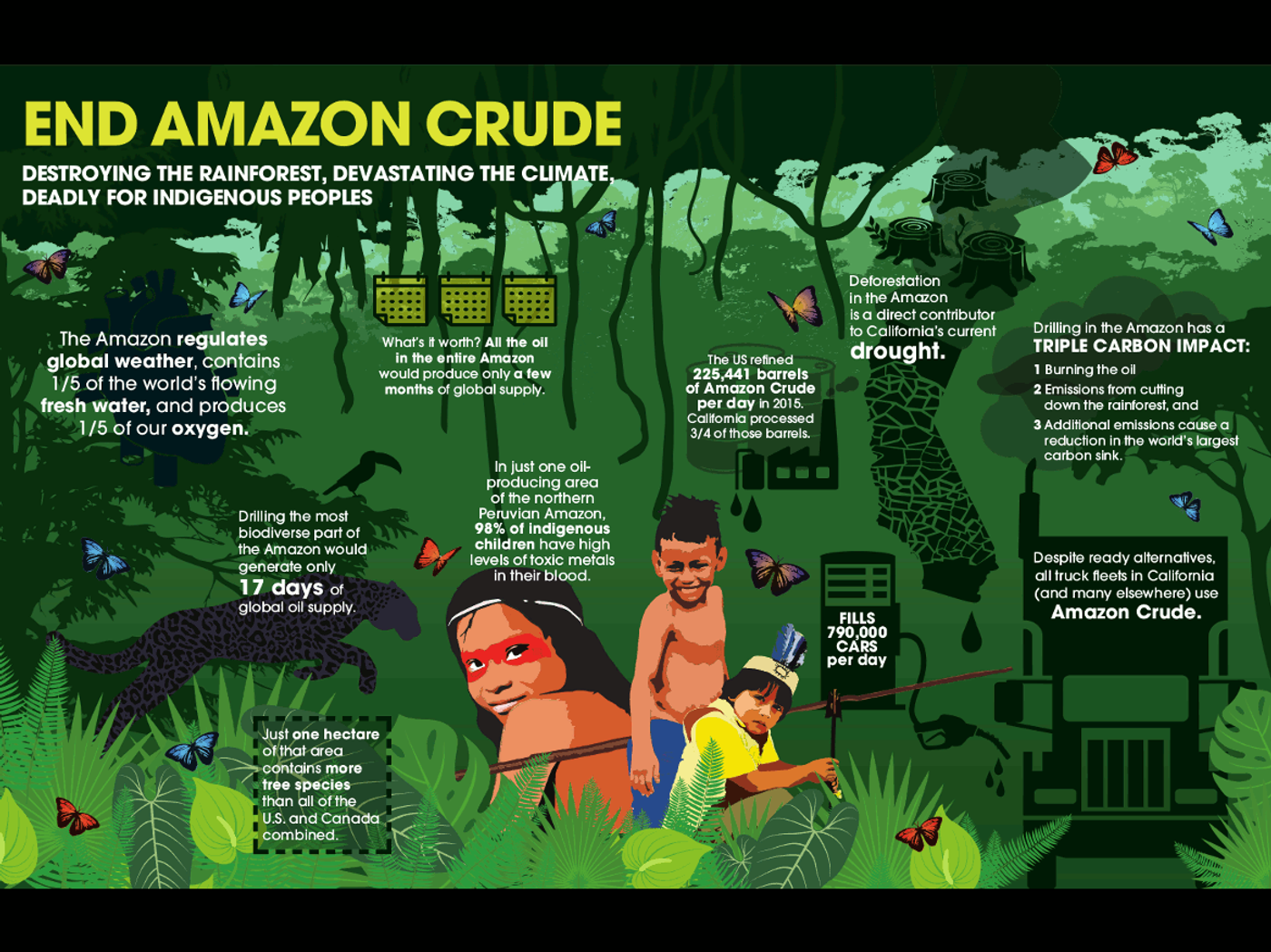 Photo: amazonwatch.org