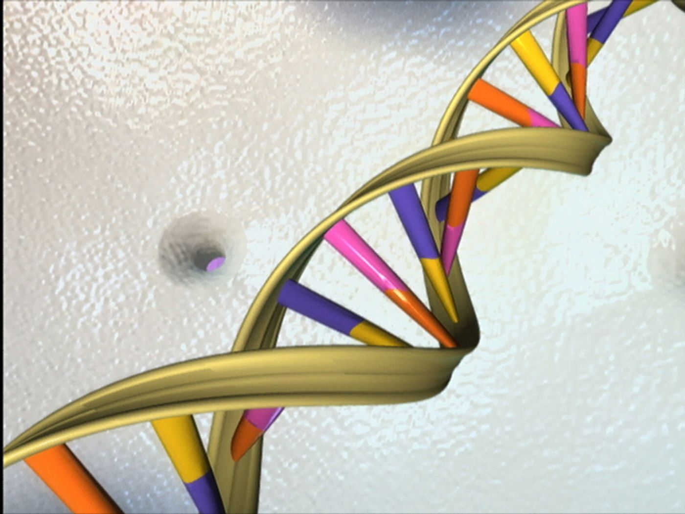DNA Double Helix  Credit: National Human Genome Research Institute, National Institutes of Health. www.genome.gov 
