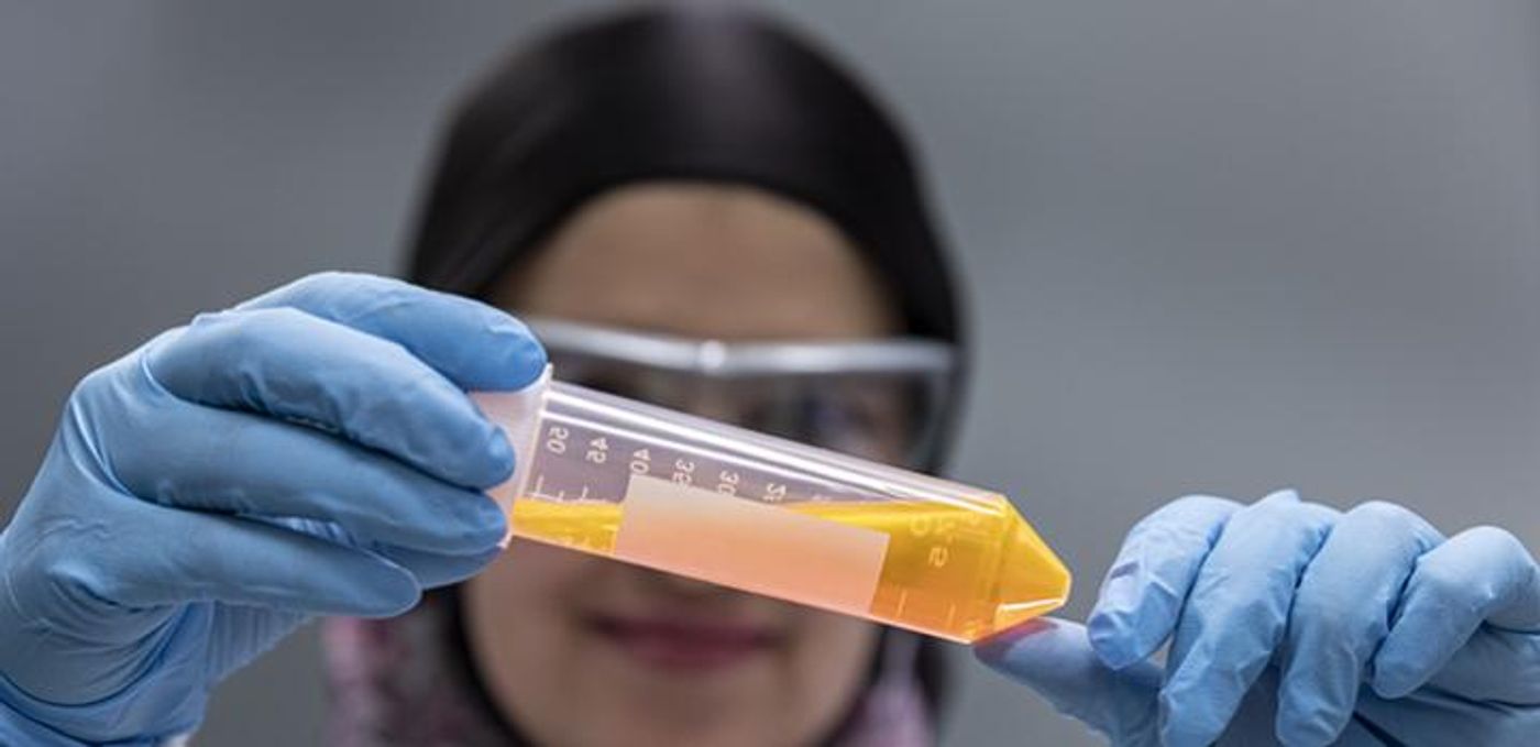 Manal Zaher holds up the DNA-dye complex. / Credit:  © 2019 KAUST