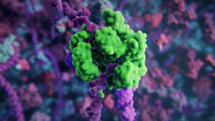 The CRISPR/Cas9 complex cuts DNA / Credit: From animation by Visual Science and Skoltech