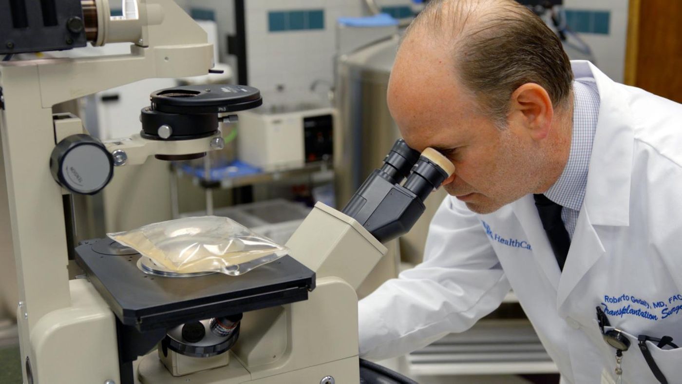 Dr. Roberto Gedaly examines a solution under a microscope. / Credit: UK Research Communications