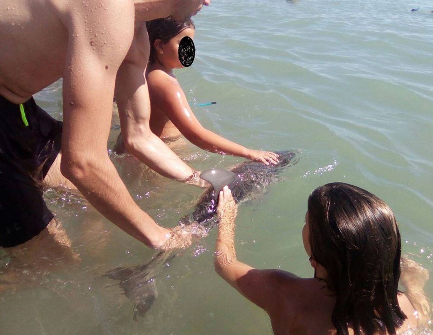 Beachgoers pet and take photos of a baby female dolphin at a beach in Spain. The dolphin later died from the handling.