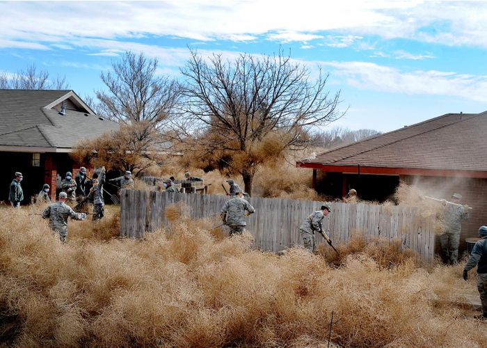 Commandos from Cannon Air Force Base, N.M., clear tumbleweeds from a residential area in Clovis, N.M., 2014. / Credit: U.S. Air Force/Senior Airman Ericka Engblom