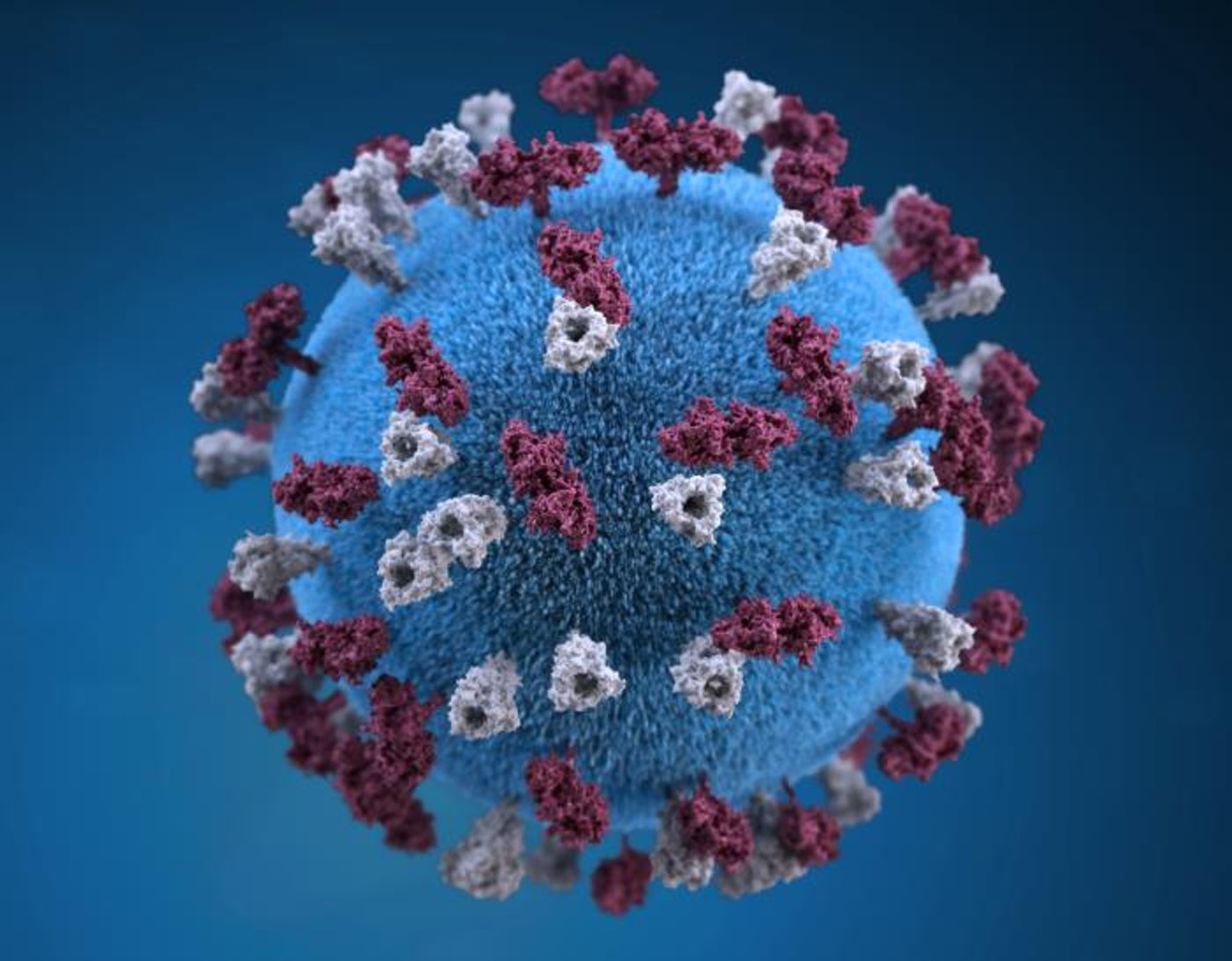 A 3D graphic representation of a measles virus particle / Credit: CDC/ Allison M. Maiuri, MPH, CHES / Illustrator: Alissa Eckert