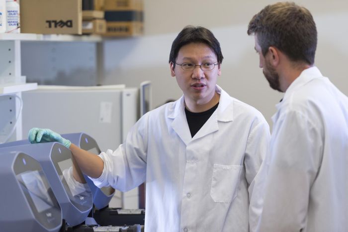 Morgridge Institute for Research scientist Li-Fang Chu leads a project using human stem cells to create a "clock in a dish" to probe early developmental timing. / Credit: Morgridge Institute for Research